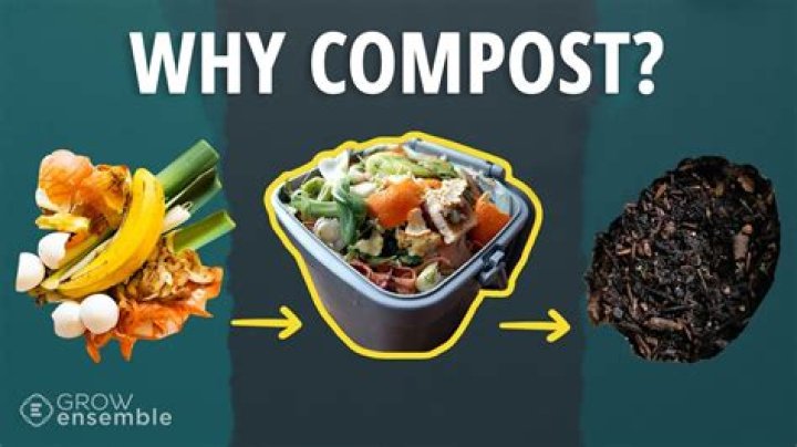 Don’t Let Them Tell You Compost Is Merely Okay, Jamoke