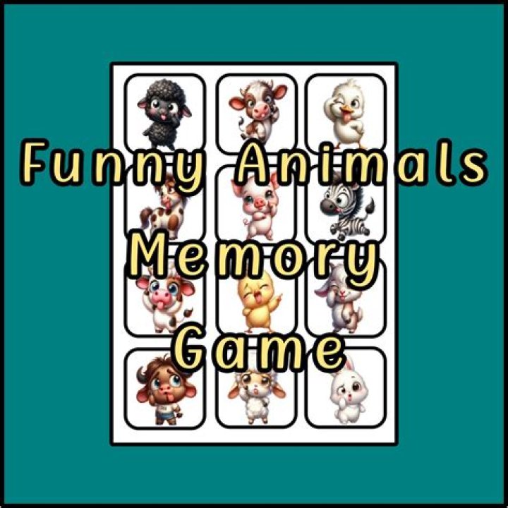 Funny Animals Memory