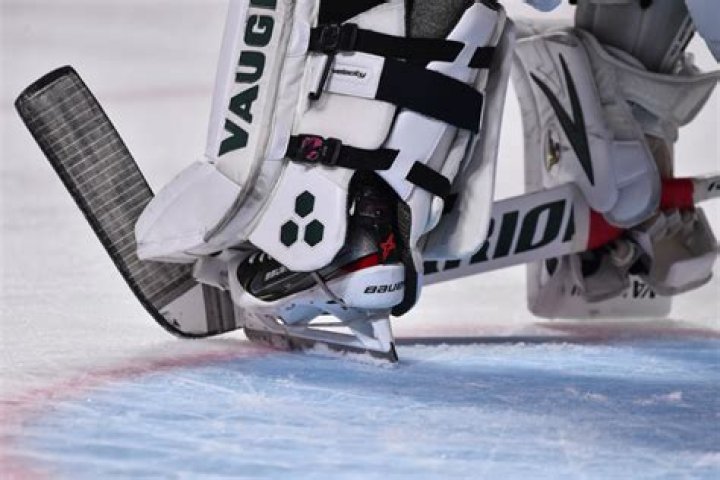 Hockey Goalie Mikayla Demaiter Shows Off Wild New Photos