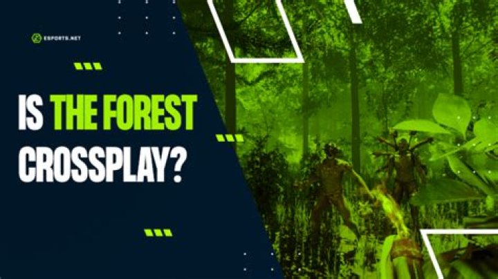Is The Forest Cross Platform in 2024 [PC, XBOX, PS4, PS5]